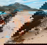 Freycinet Walking Tour - Attractions