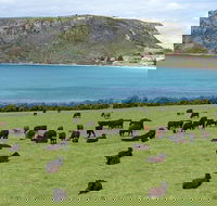 Cruise Ship Excursion Stanley - Attractions