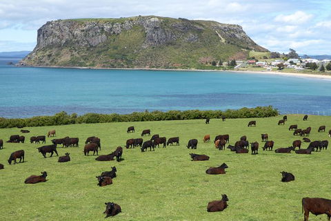 Cruise Ship Excursion: Stanley - Attractions 0