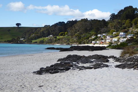 Cruise Ship Excursion: Stanley - Attractions 10