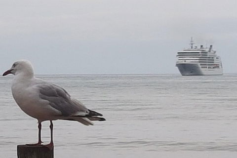 Cruise Ship Excursion: Stanley - Attractions 9