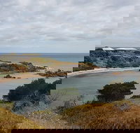 Shore Excursion Coast Caves and Wildlife Park - 8 hour tour - Attractions