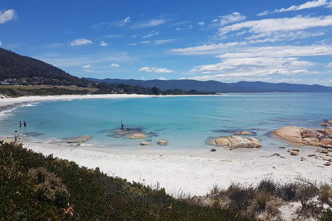 Wineglass Bay Day Tour - See Attractions 3