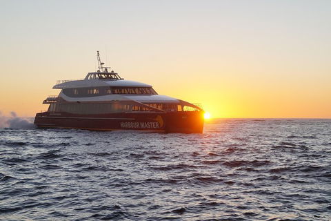 Afternoon Gordon River Dinner Cruise - Departing 3pm - Attractions 0