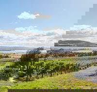 Launceston Wine  Sightseeing Tours - Attractions