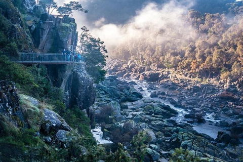 3.5 Hours Walking Tour To Cataract Gorge With Local Guide - Attractions 0