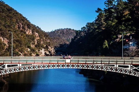 3.5 Hours Walking Tour To Cataract Gorge With Local Guide - Attractions 5
