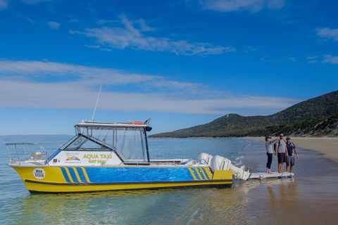 Sea & Explore Wineglass Bay & Freycinet National Park - Cruise & Walk - Attractions 7