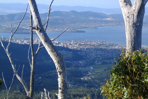 Mt. Wellington Morning Hike + Afternoon Beer & History Walk - Attractions 10