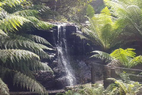 Mt. Wellington Morning Hike + Afternoon Beer & History Walk - Attractions 16