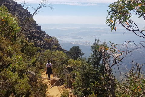 Mt. Wellington Morning Hike + Afternoon Beer & History Walk - Attractions 1
