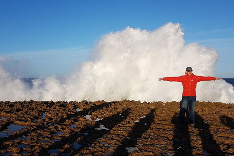 Ride Tours, 2 Day Great Ocean Road Experience - Attractions 1