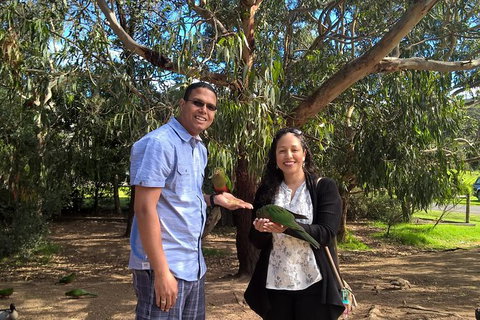 Great Ocean Road Sunset Private Experience - Attractions 13