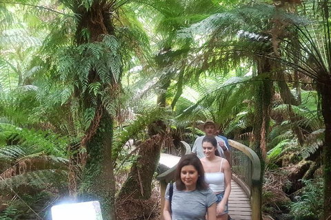 Great Ocean Road Sunset Private Experience - Attractions 10