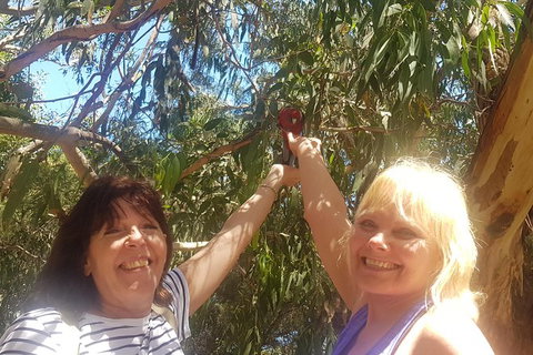 Great Ocean Road Sunset Private Experience - Attractions 19