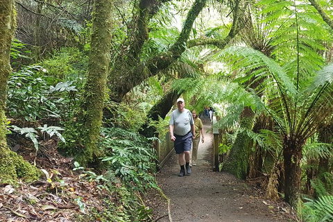 Great Ocean Road Sunset Private Experience - Attractions 7