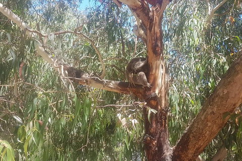 Great Ocean Road Sunset Private Experience - Attractions 12
