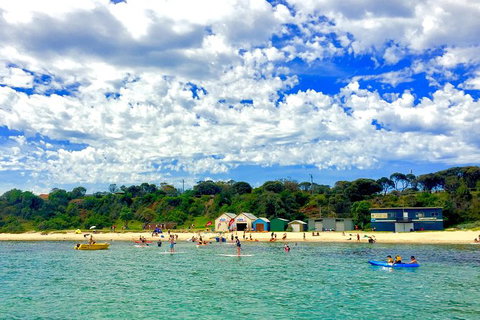 Stand Up Paddle Boarding - Attractions 1