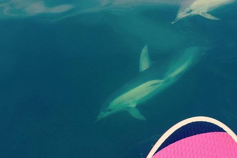 Stand Up Paddle Boarding - Attractions 3