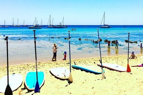 Stand Up Paddle Boarding - Attractions 10