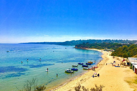 Stand Up Paddle Boarding - Attractions 5