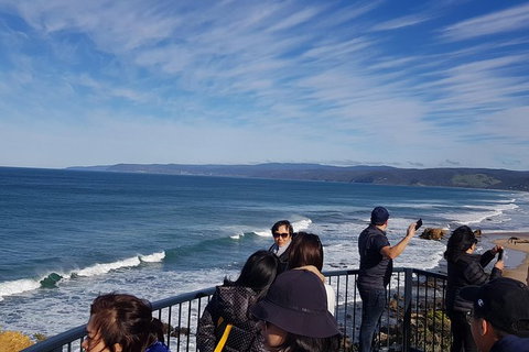 Great Ocean Road Private Luxury Tour Reverse - Attractions 3