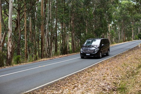 Great Ocean Road, Mornington Peninsula And Phillip Island Tour - (2 Day/1 Night) - Attractions 6