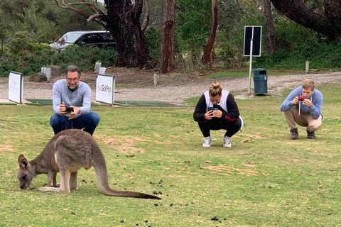 Great Ocean Road, Mornington Peninsula And Phillip Island Tour - (2 Day/1 Night) - Attractions 5