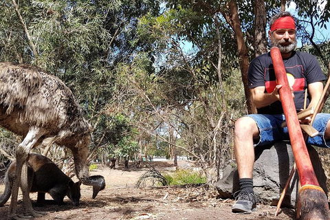 Great Ocean Road Wildlife & 12 Apostles Private Tour - Explore With A Local - Attractions 3