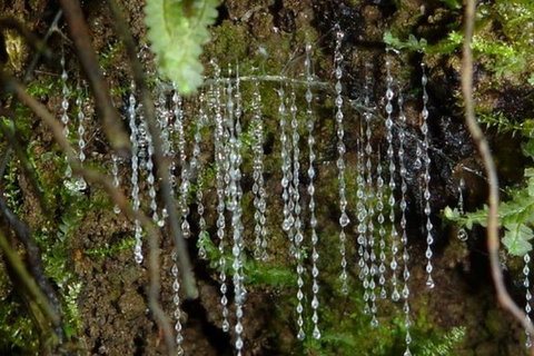 Great Ocean Road Wildlife & 12 Apostles Private Tour - Explore With A Local - Attractions 2