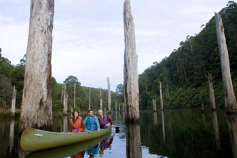 Great Ocean Road Wildlife & 12 Apostles Private Tour - Explore With A Local - Attractions 1