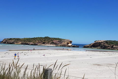 Warrnambool Wanderer Tour - Attractions 1