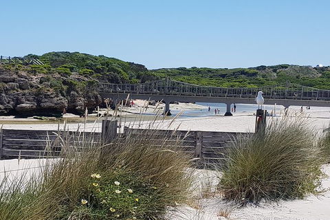 Warrnambool Wanderer Tour - Attractions 3
