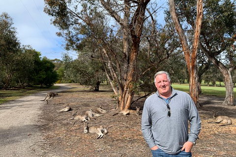 Great Ocean Road Private Luxury Overnight Experience - (1.5 Day/1 Night) - Attractions 8