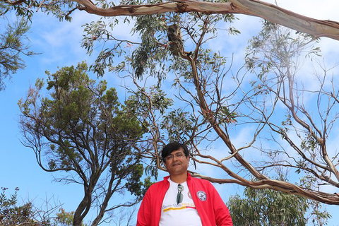 Great Ocean Road Private Luxury Overnight Experience - (1.5 Day/1 Night) - Attractions 3