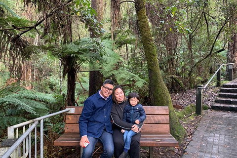 Great Ocean Road Private Luxury Overnight Experience - (1.5 Day/1 Night) - Attractions 7