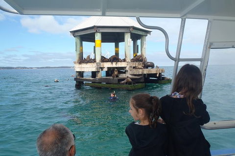 Sailing Cruise With Seals - Attractions 0