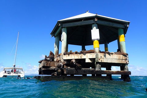 Sailing Cruise With Seals - Attractions 1
