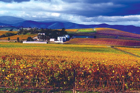 Behind-the-Scenes De Bortoli Gourmet Food And Wine Tasting Tour Including 3-Course Lunch - Attractions 2