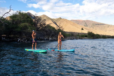 Stand Up Paddle Boarding Hire - Attractions 2