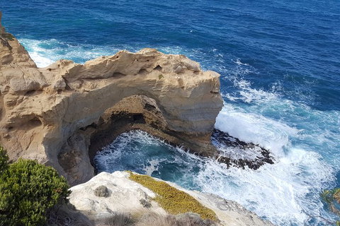Express Twelve Apostles Day Trip From Melbourne - Attractions 7