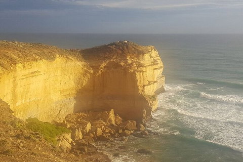 Express Twelve Apostles Day Trip From Melbourne - Attractions 6