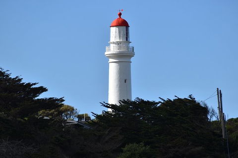 Great Ocean Road Tour Plus Koalas, Forest Walk And Morning Tea. - Attractions 1