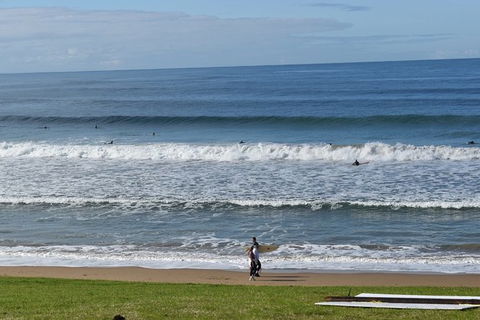 Great Ocean Road Tour Plus Koalas, Forest Walk And Morning Tea. - Attractions 9