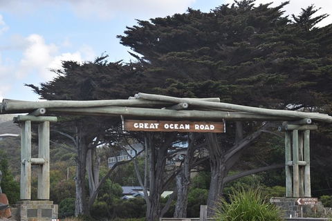 Great Ocean Road Tour Plus Koalas, Forest Walk And Morning Tea. - Attractions 7