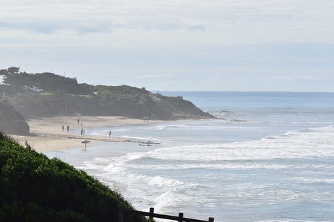 Great Ocean Road Tour Plus Koalas, Forest Walk And Morning Tea. - Attractions 10