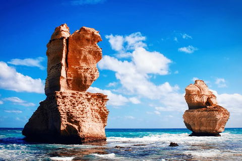 Great Ocean Road Tour Plus Koalas, Forest Walk And Morning Tea. - Attractions 11