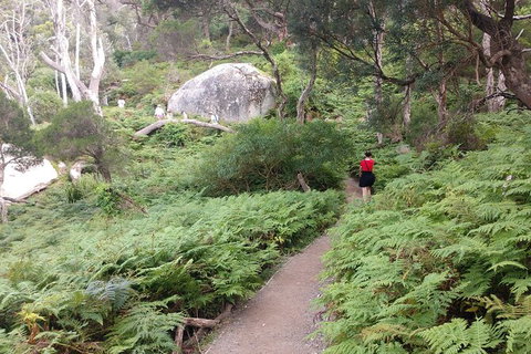 Wilsons Promontory Brainstorming Escape - Attractions 2