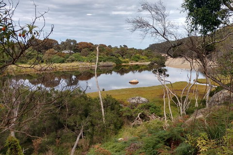 Wilsons Promontory Brainstorming Escape - Attractions 9