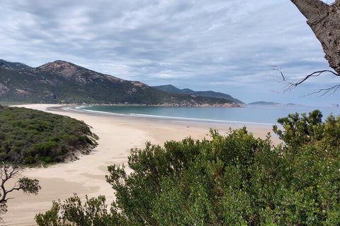 Wilsons Promontory Brainstorming Escape - Attractions 1